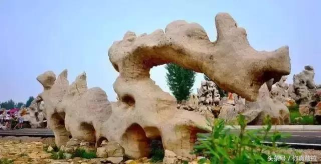 临沂三区九县改成什么了,临沂市三区九县名称