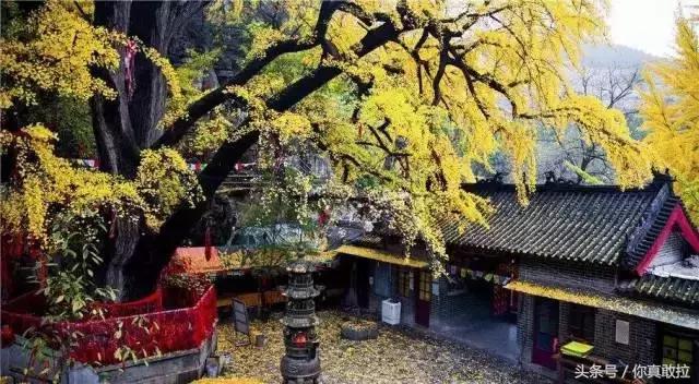 临沂三区九县改成什么了,临沂市三区九县名称