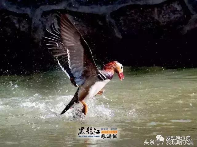 春天哈尔滨好玩的地方,哈尔滨春天景色