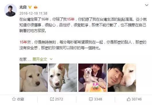 古牧真的很难养吗,古牧被遗弃了