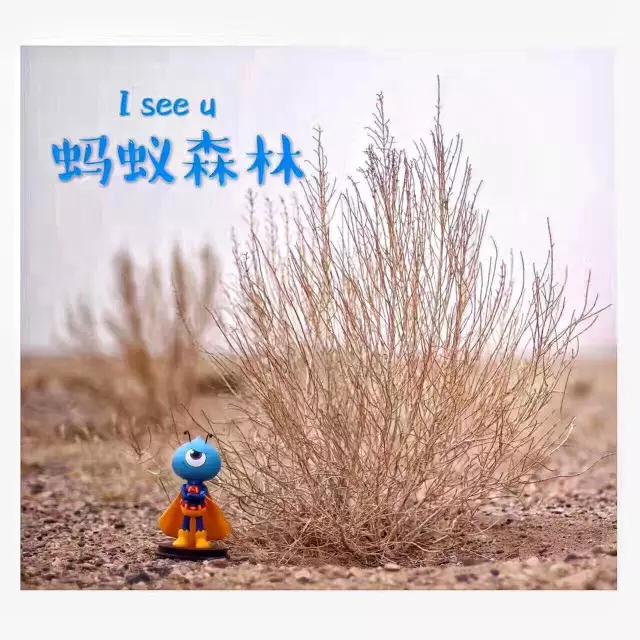 马云与阿里20年互联网巨头养成术,马云创立阿里巴巴追梦成长史