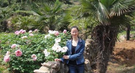 被老公打了怎么办呀,被老公打了怎么办