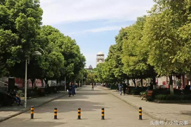 再见了四川大学,成都川大锦城学院