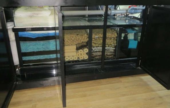 鱼缸水质清澈需要加硝化细菌吗,鱼缸水质浑浊加硝化细菌