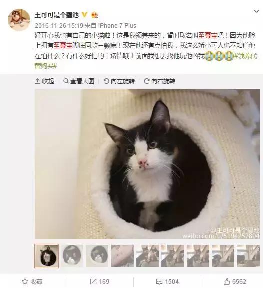 古牧真的很难养吗,古牧被遗弃了