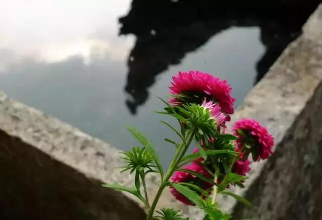 因病去世随笔,生病离世的随笔