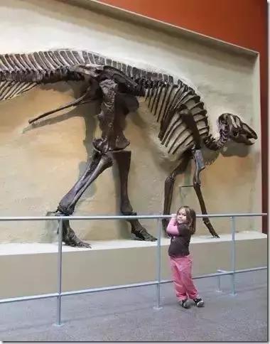 两富二代大量炸毁化石，开枪埋雷不惜破产，竟是为了*论发**文争名利