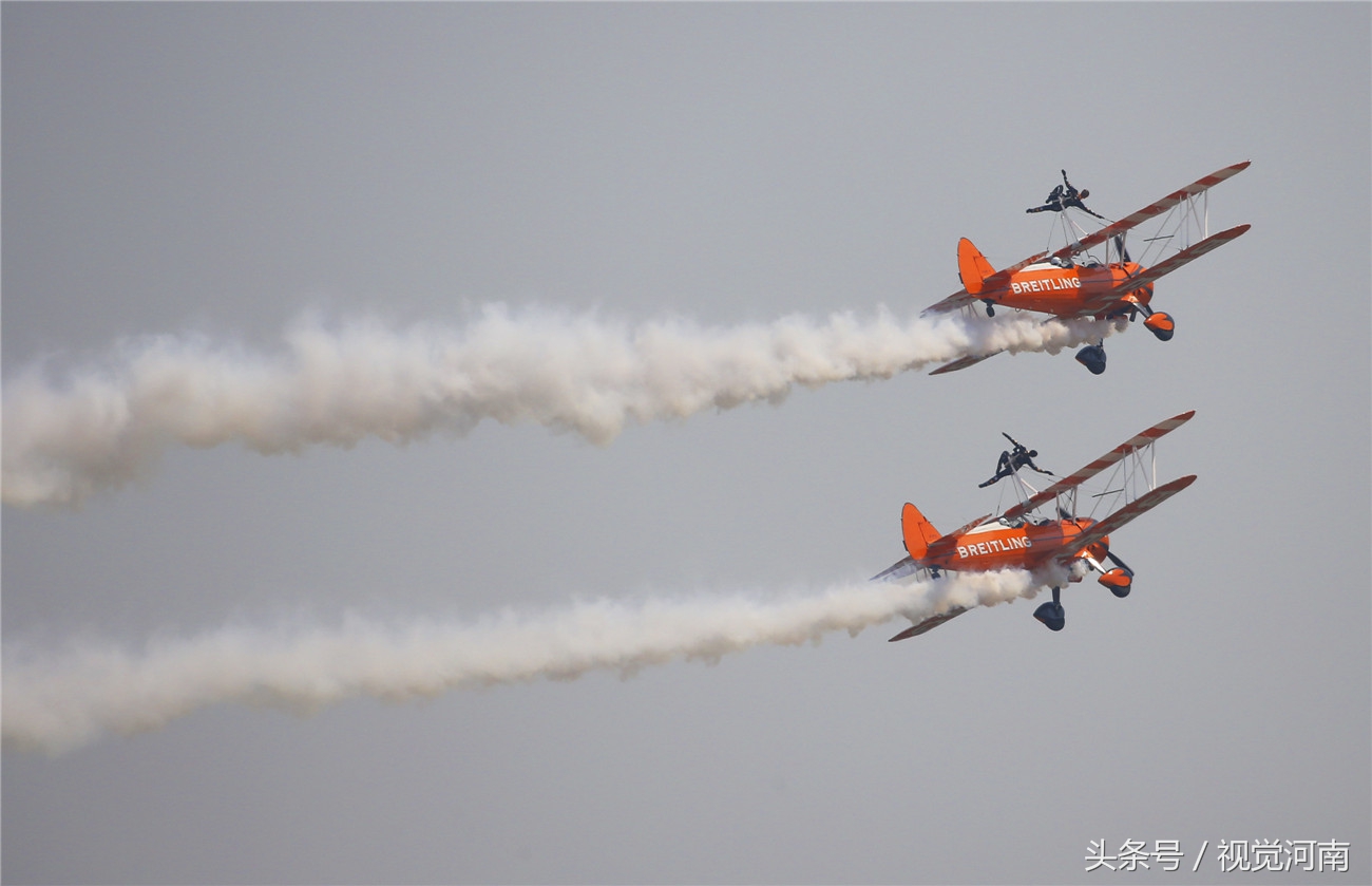 閮戝窞鑸睍,2019閮戝窞鍥介檯鑸睍