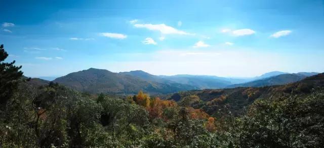 北伐叶挺,叶挺北伐吴佩孚