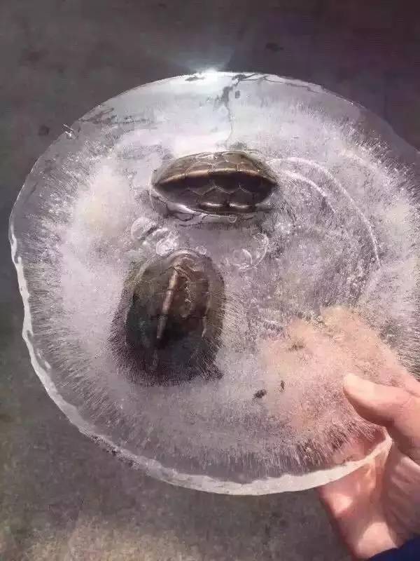 都说IT销售NB，看完我真信了~