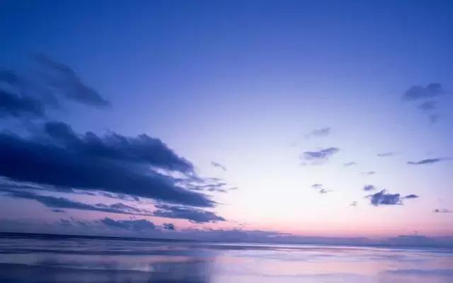 天猫betta,天猫betta店