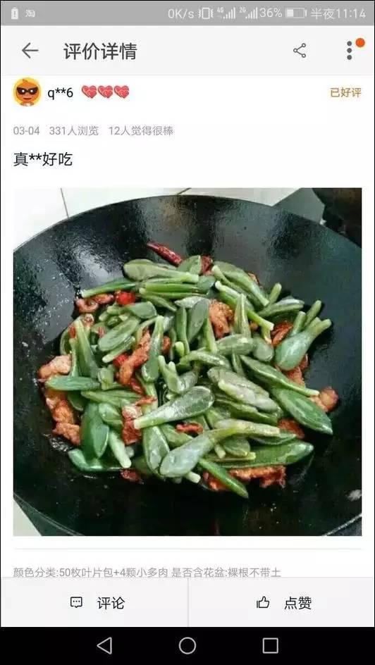 逆天了中国吃货!多肉植物炒肉吃!