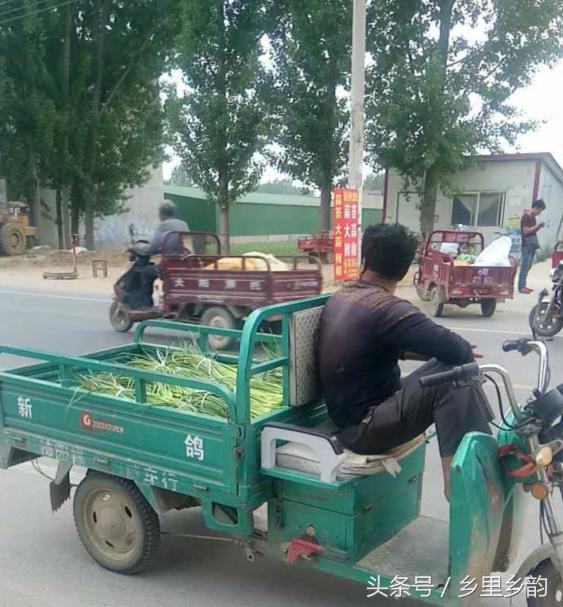 蒜薹行情价,蒜薹行情上涨