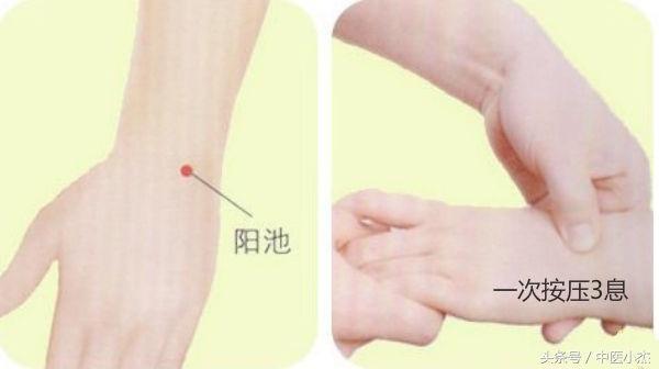 阳气入津的穴位,阳池穴和阳溪穴哪个升阳气快