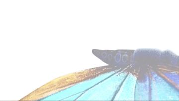 美国艾利丹尼森集团,美国艾利丹尼森公司