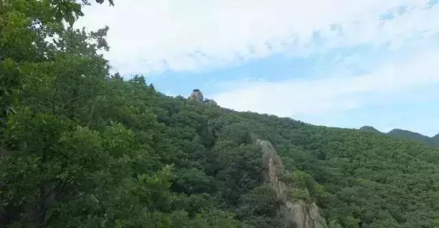 西安3月底周边赏花踏青一日游,武汉踏青自驾一日游推荐