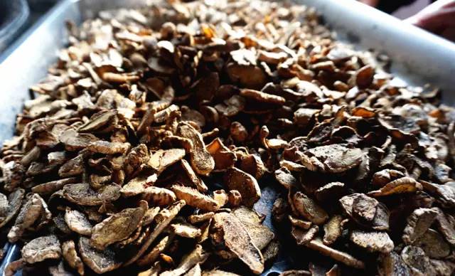 脑子进水了用什么方法能救活,脑子进水了吃什么药好