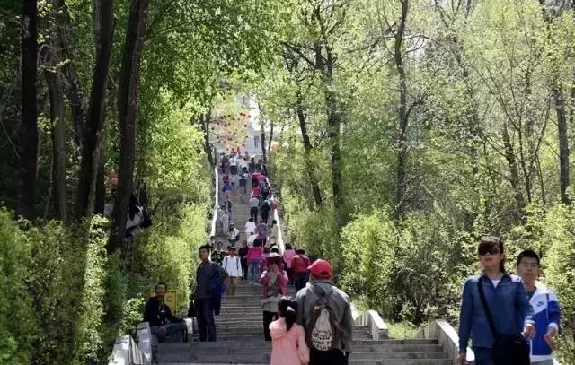 西安3月底周边赏花踏青一日游,武汉踏青自驾一日游推荐