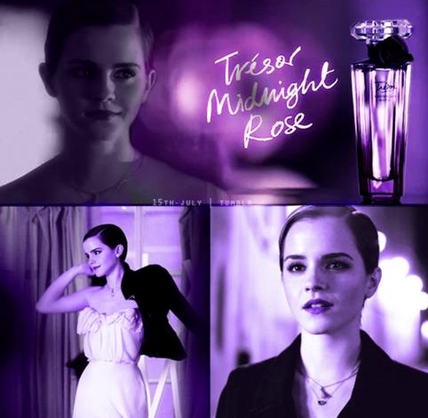 兰蔻沙龙玫瑰,兰蔻的浪漫故事