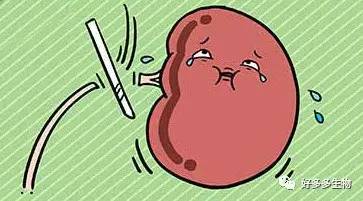 肾积水引发的尿漏怎么办,肾积水排尿困难吃什么药