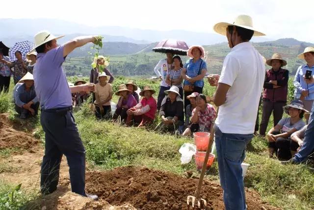 大理技师学院主要学哪些,大理技师学院2016年