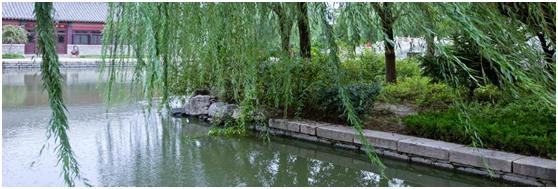 天上掉下个林妹妹黄梅戏,天上掉下个林妹妹电影在线观看