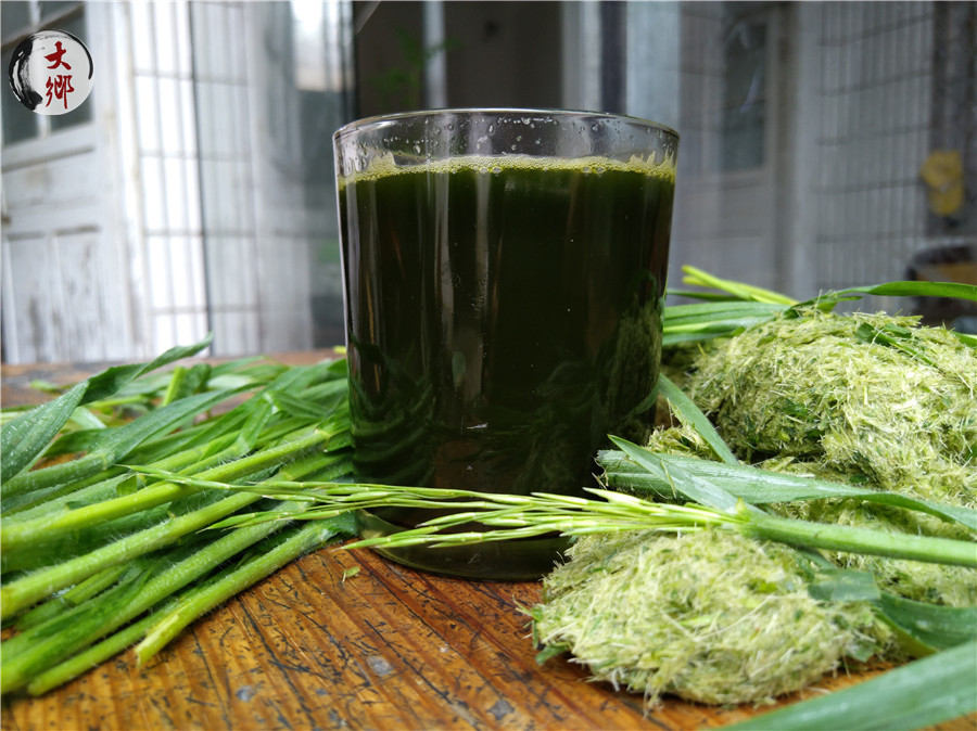 野燕麦在农村当做杂草，却不知鲜榨的“野麦汁”还有这些功能