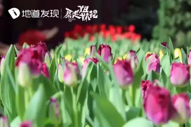 你所不知道的自然景观,你所不知道城市的另一面