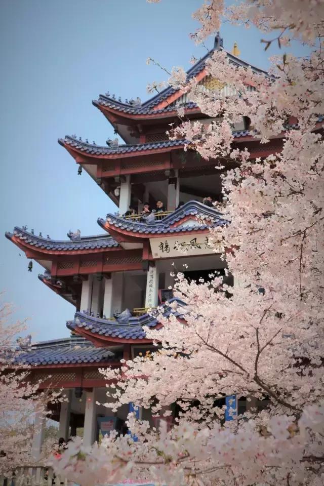 摄友作品点评,4月拍照