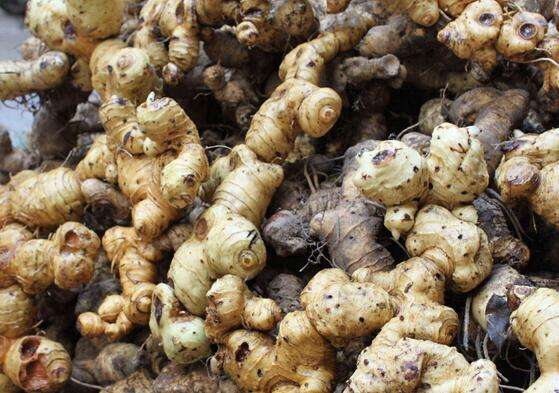 2023年药材最新价格行情,2020年1月25日中药材市场行情