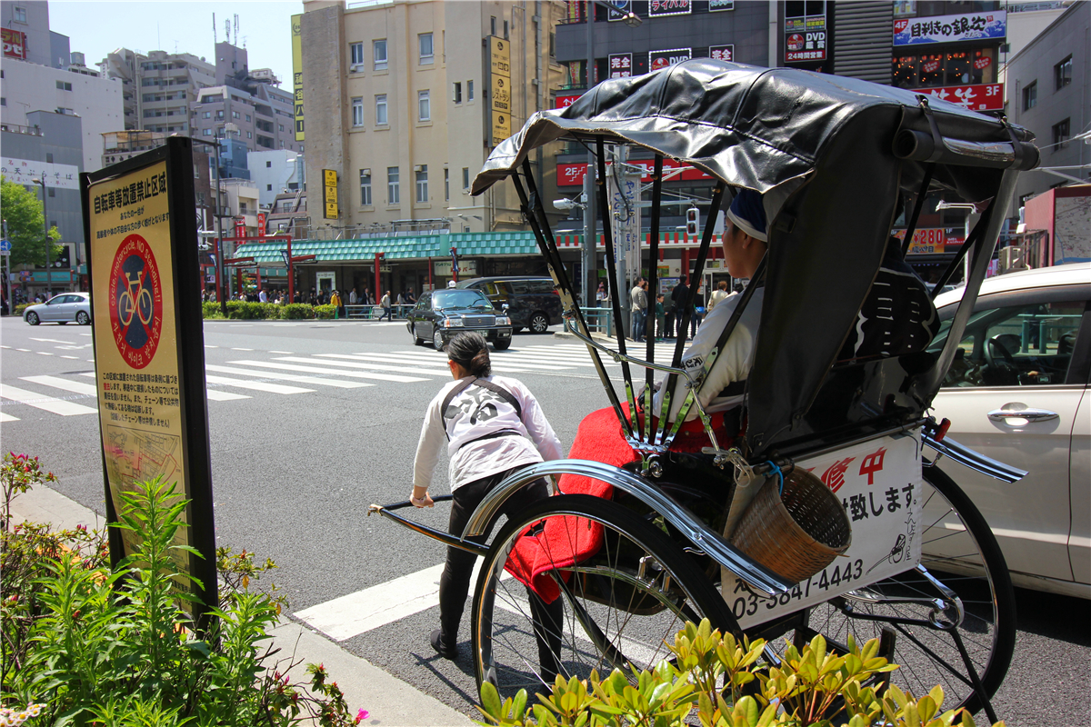 落英缤纷系列,落樱缤纷日本
