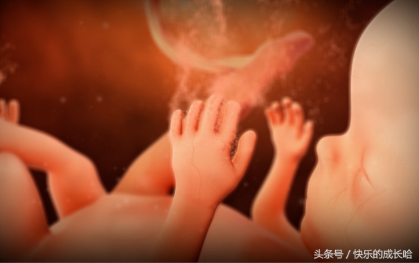 怀孕第11周胎儿发育情况,妈妈怀孕十个月变化