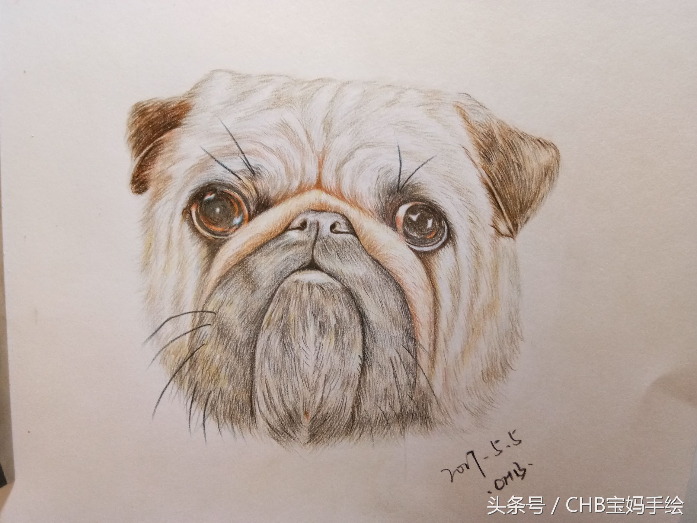 彩铅绘画入门零基础小狗,零基础学铅笔画入门小狗