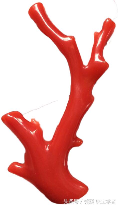 阿卡牛血红珊瑚自己戴可以吗,顶级阿卡牛血红珊瑚是哪个产地