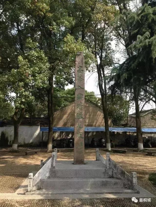 桐城市为什么这么发达,弹丸小城