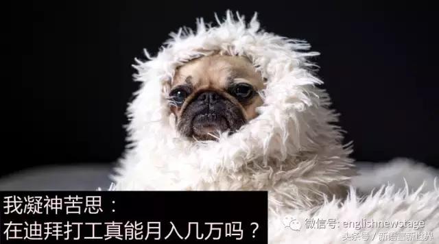 在迪拜打工一个月有多少收入,在迪拜打工多少工资