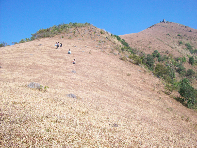中国桂圆之乡广西博白,博白的桂圆和莆田桂圆谁好