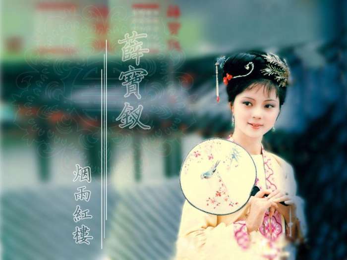 简单评价一下薛宝钗,太好了是完整的句子吗