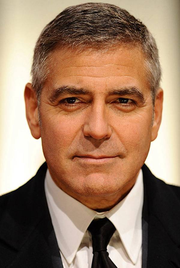 每日花语100句,每日花语蒲公英