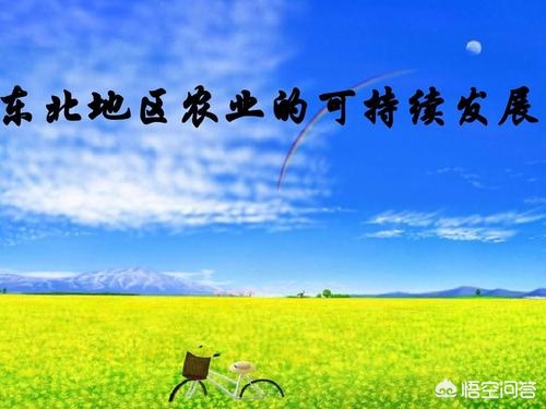 东北农业可持续发展,看看东北农村是什么样的