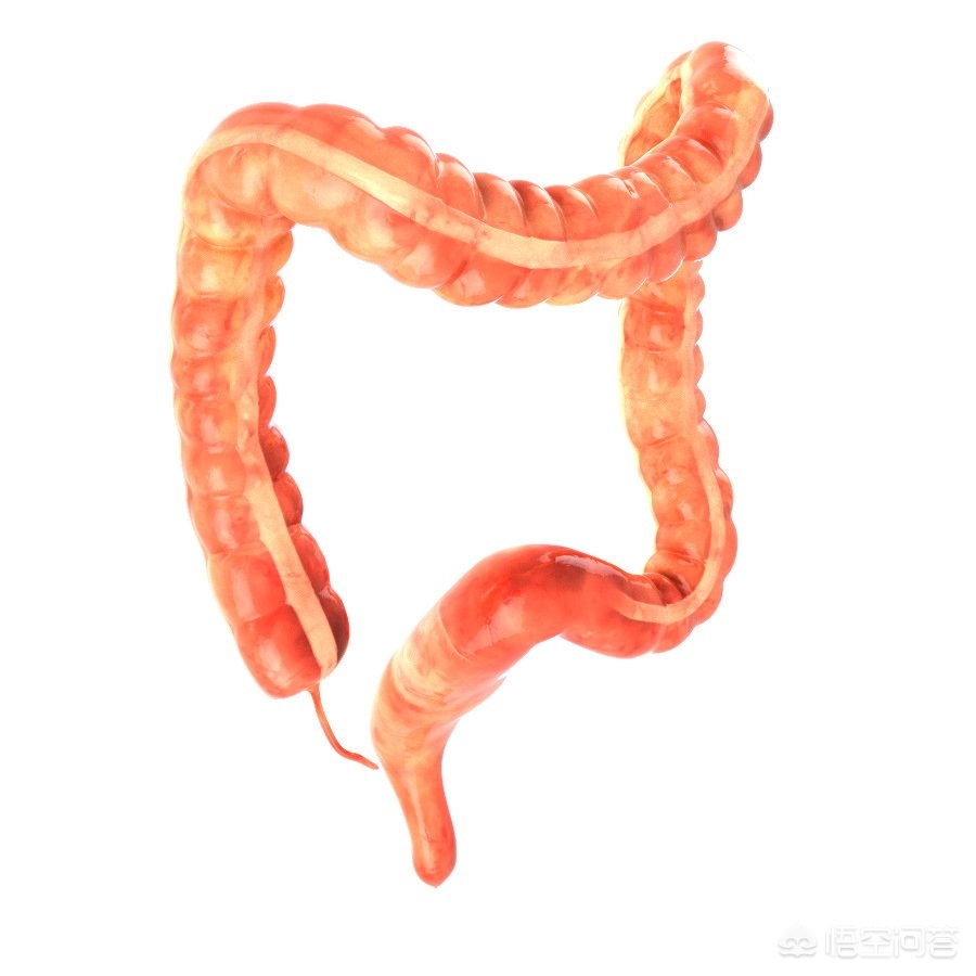 便秘的原因有哪些,什么原因导致便秘