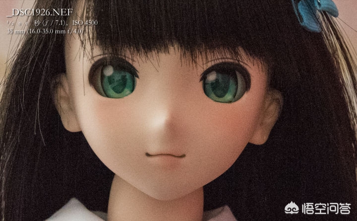 如何入门了解相机,如何快速的入门摄影