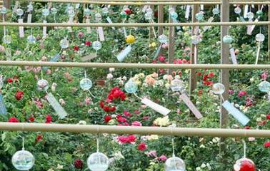 聊城市五一小长假去哪里玩,聊城五一假日攻略