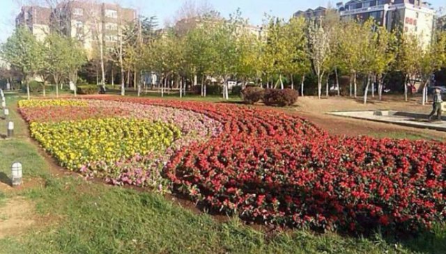 甘区清理一批“脖后灰”减少藏污纳垢死角