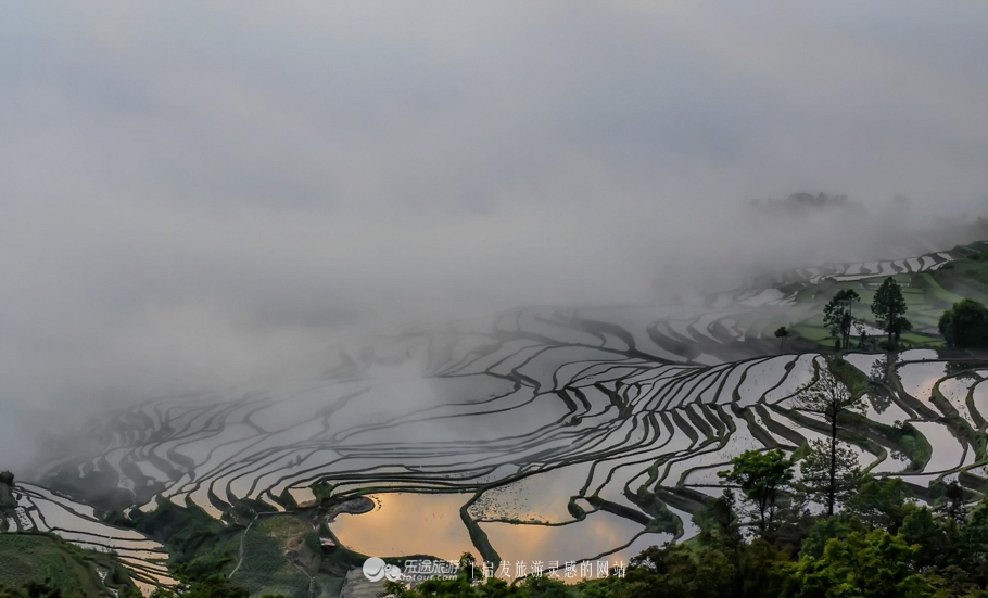 元阳梯田十二庄园香典民宿,元阳梯田世外桃源
