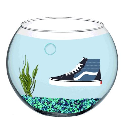 vans全套,vans新手入门教程