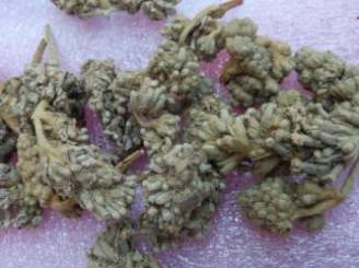 中药蒙花介绍,中药蒙花是啥