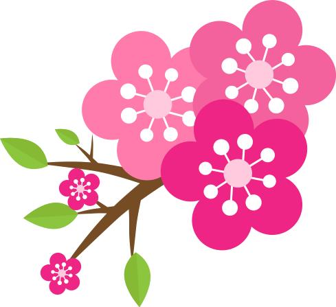 快速拯救秃发,m型脱发怎么办