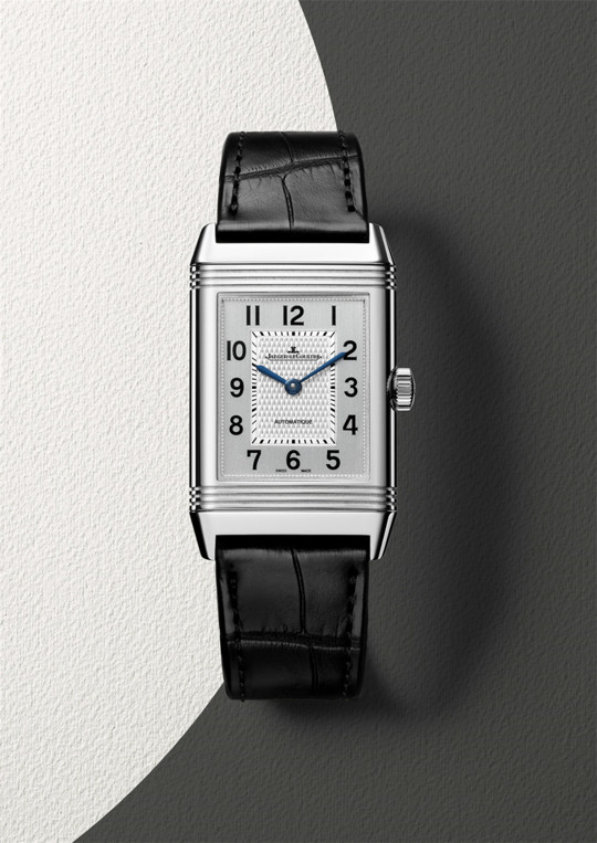 优雅的马术运动,热爱和享受马术运动