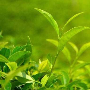 抗癌纪实在线阅读,抗癌纪实录